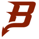 Bradford High School logo