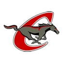 Chisum High School logo