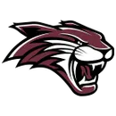 Bethel High School logo