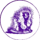 Nashua High School logo