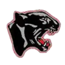 Bridgewater-Raritan High School logo