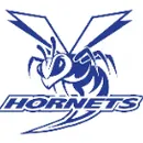 Vinita High School logo