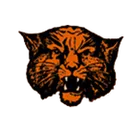 Wink High School logo