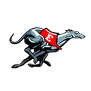 Duluth East High School logo
