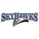 Summit High School logo
