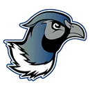 Redfield-Doland High School logo