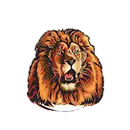 Morningside High School logo