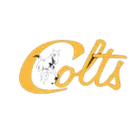 Northern Cambria High School logo