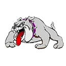 Boyceville High School logo