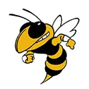 Ithaca High School logo