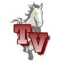 Tri-Valley High School logo