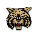 Wayne County High School logo
