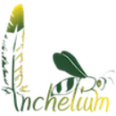 Inchelium High School logo