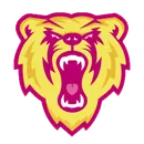 Barron High School logo