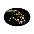 Cameron High School logo