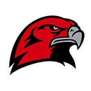Hamburg Area High School logo