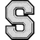 Stroudsburg High School logo