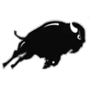 Fenton High School logo