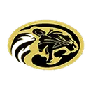 Mclean High School logo