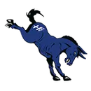 Hillsboro High School logo