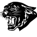 Varsity Wrestling Durand logo