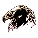 Nixyaawii Community School logo
