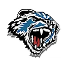 Tok High School logo
