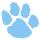 Camden County High School logo