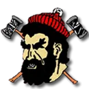 Council High School logo