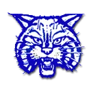 McNairy Central High School logo