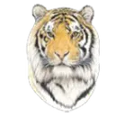 Blountstown High School logo