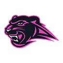 Detroit International Academy for Young Women logo