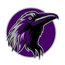 Ridgeview HS logo