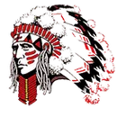 Danville Community High School logo