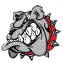 Bay Springs High School logo