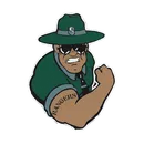 Selkirk High School logo