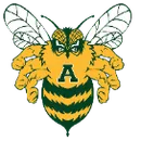 Academy High School logo