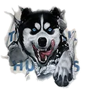 Togiak High School logo