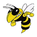 Mendon High School logo