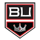 Birmingham Unified Kings logo