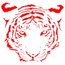 Mountain View Gotebo High School logo