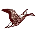 Robert E Lee High School logo