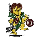 Hoopeston Area High School logo