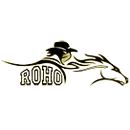 Rider High School logo