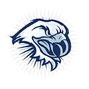 Tamaqua Area High School logo