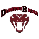 Dutton/Brady High School logo