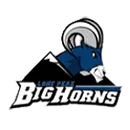Lone Peak High School logo