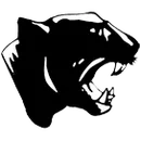 Twin Valley South High School logo