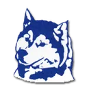 Camas County High School logo