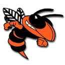 Declo High School logo